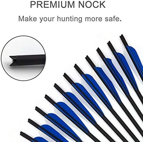 GPP Hunting Archery Carbon Arrow 20" Crossbow Bolts Arrow with 4" vanes and Replaced Arrowhead/Tip