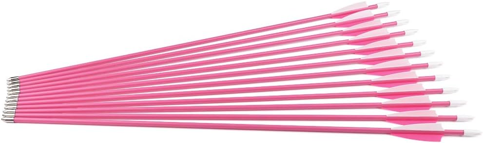 Archery Youth 24 26 Inch Fiberglass Archery Targeting Arrows for Youth Practise Recurvebow Compound Bow Shooting