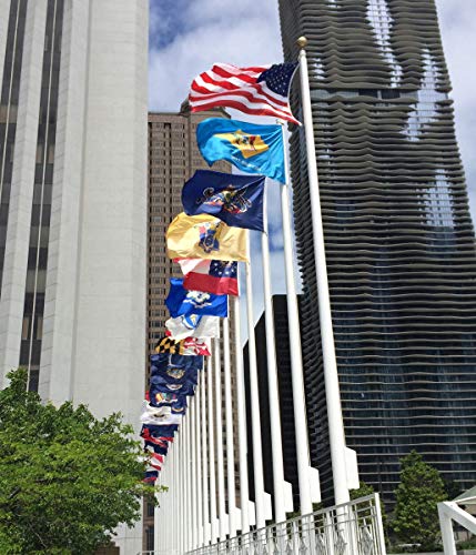 Annin Missouri State Flag - 4 x 6 Feet, Outdoor Nylon, Made in USA (Model 142970) - Variation: 4x6 ft