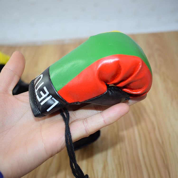 Joayuezo 1 Pair Mini Boxing Gloves Hang Mini Boxing Gloves for Car Mirror Keychain Ornament Car Decoration Accessories for Men and Women (Albania)