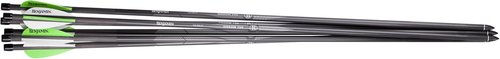 Benjamin AB6PKA Pioneer Airbow Arrow Pack
