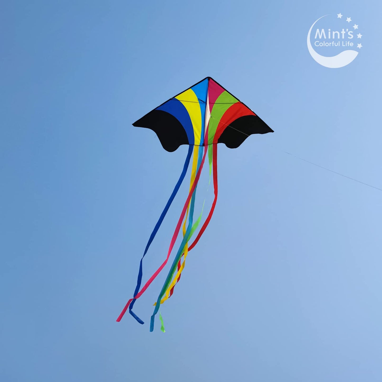 Mint's Colorful Life Rainbow Delta Kite, Polyester; Fiberglass, Large, 5-18 mph Wind Range, Ages 3-80, W/6 Ribbon Tails, Perfect for Travels