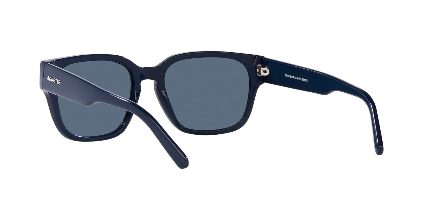 ARNETTE Sunglasses AN 4294 122180 Type Z Navy Blue Dark