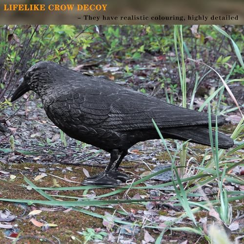Plastic Crow Decoy with Stake for Hunting and Bird Attracting - Realistic Full Body Design