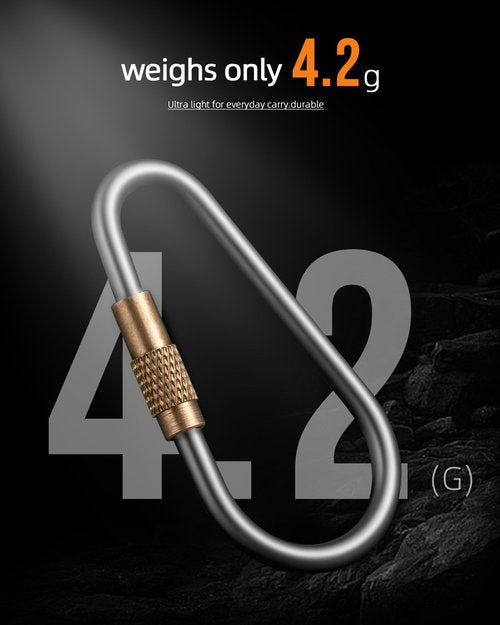 Locking Carabiner Keychain, FEGVE Small Titanium Carabiner Clip with 2pcs/1 inch/25mm Titanium Key Ring, Lightweight and Durable-1pcs