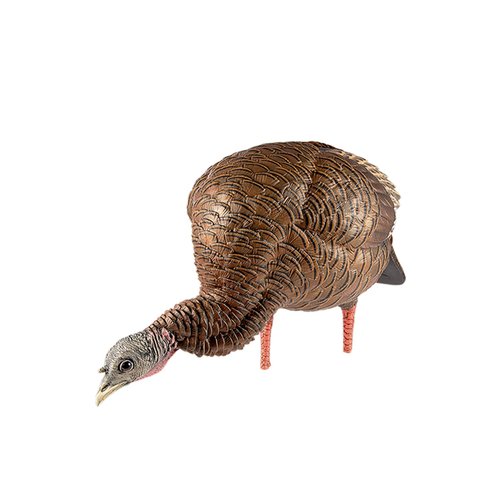 Avian-X HDR Jake Turkey Decoy with 2 Heads & HDR Feeding Hen Turkey Decoy Bundle