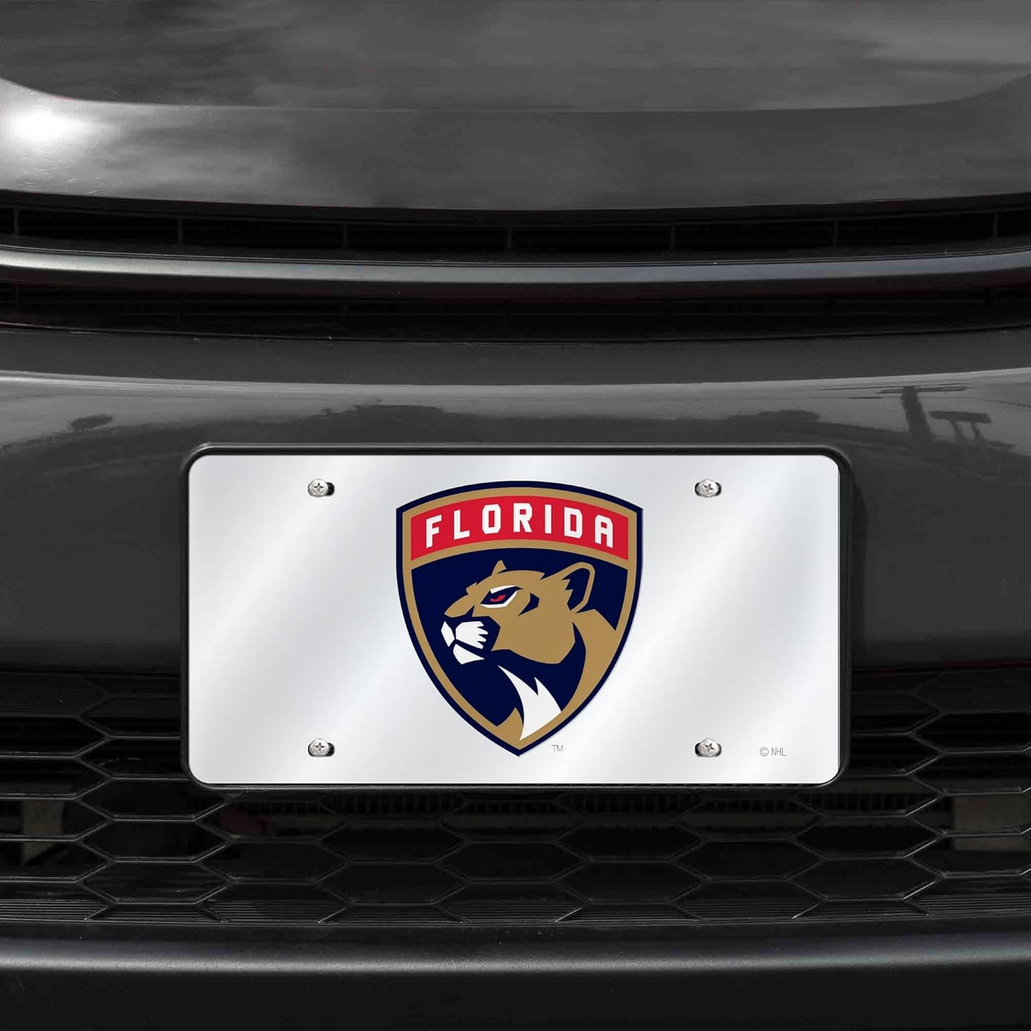 NHL Anaheim Ducks License Plate Tag - Laser Inlaid Metal Car Accessory