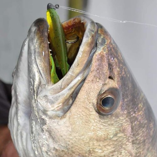 Pezlun Fishing Lures Freshwater Bait Tackle kit.Tackle Box Including crankbaits topwater Lures,Jigs,Spoons and More Fishing Gear Set.Suitable for Bass Trout Salmon. (B240PCS)