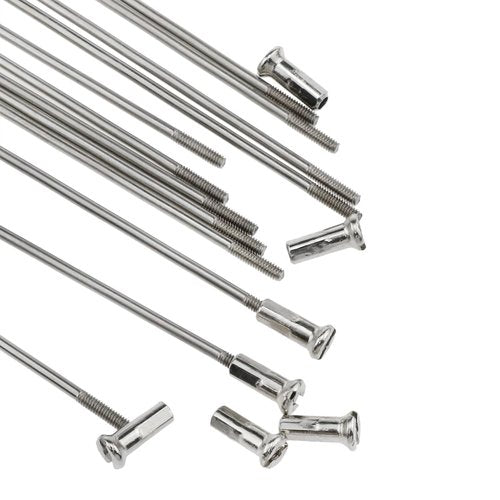 AYLIFU 12 PCS 14G Bicycle Stainless Steel Spoke 260mm Mountain Bike/Road Bike Spoke Belt 12mm Spoke Cap for Most Bikes Silver