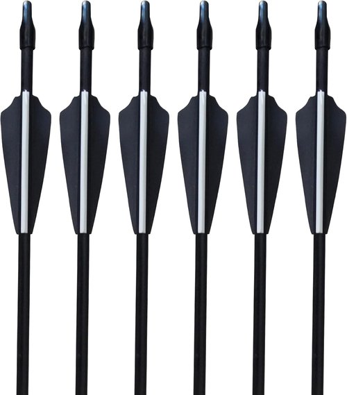 GPP 28-inches Fiberglass Archery Target Arrows - Practice Arrow or Youth Arrow for Recurve Bow