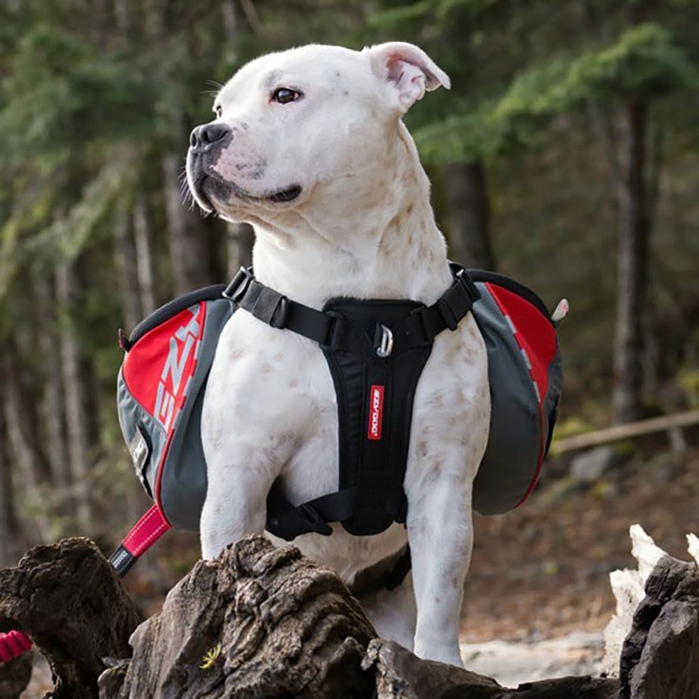 EzyDog Summit Outdoor Dog Backpack - Reflective and Incorporates a Chest Plate Harness - Easy Access Saddlebags with Superior Storage Capacity and Comfort - Front Pull Ring (Red/Gray, Large)