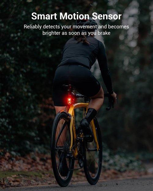 Magicshine SEEMEE 300 Bike Taillight,300 Lumen Bike Tail Light,5 Night & Daytime Modes,Smart Brake Sensor IPX6 Waterproof USB-C Rechargeable Rear Bike Light for Night Riding