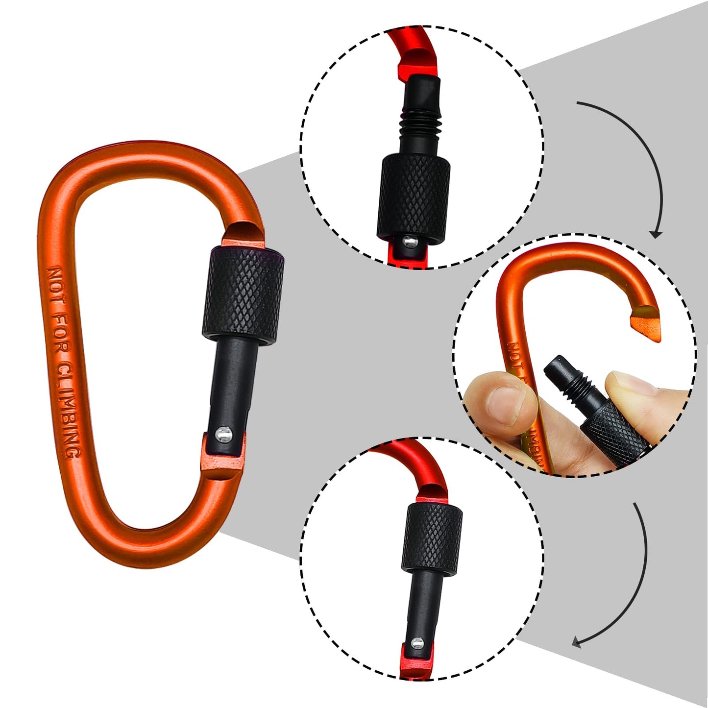 6 Pack Small Locking Carabiner Clips - 3 Inch Aluminum Alloy D-Ring Key Hooks with Twist Lock, Secure for Keys, Pet Leash, Travel Accessories (Not for Climbing)(Multicolor1)