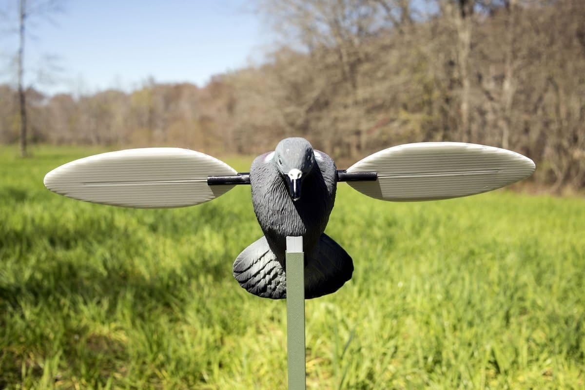 MOJO Outdoors Dove Hunting Decoys and Accessories – (Choose Style)