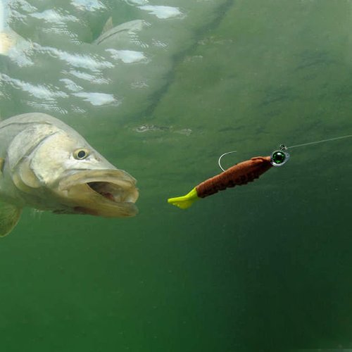 Dr.Fish 10 Pack Fishing Eyes Jigs 3D Eyes Trout Heads Bass Hook Saltwater Swimbait Jig Heads Freshwater Walleye Striper Walleye Striper 3/8oz