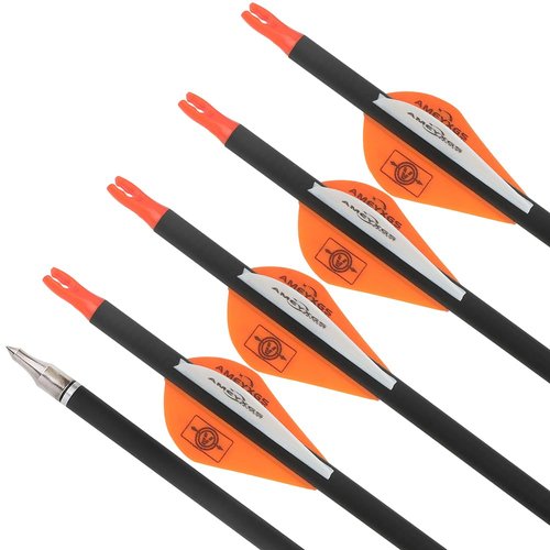 HNZMDY 30" Pure Carbon Arrows Archery Practice Hunting Arrows Spine 300 350 400 500 600 Targeting Arrows with Removable Tips for Compound & Recurve & Long Bow 6/12 Pcs