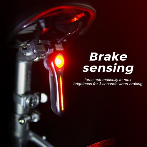 PicnaRizer Bike Taillight - 6 Smart Modes Brake+Light+Movement Sensing - 100 Lumens Bicycle Rear Tail Light with Quick Release Brackets Set for Saddle & Seatpost,Tpye-C Rechargeable, IP65 Waterproof