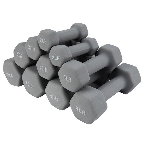 Saorzon Dumbbells Set of 2 Exercise Fitness Dumbbell for Home Gym Free Weights Hand Hex Dumb Bells Gray 1LB