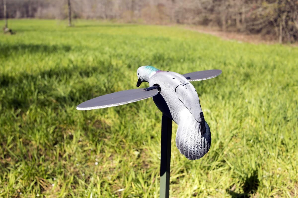 MOJO Outdoors Dove Hunting Decoys and Accessories – (Choose Style)