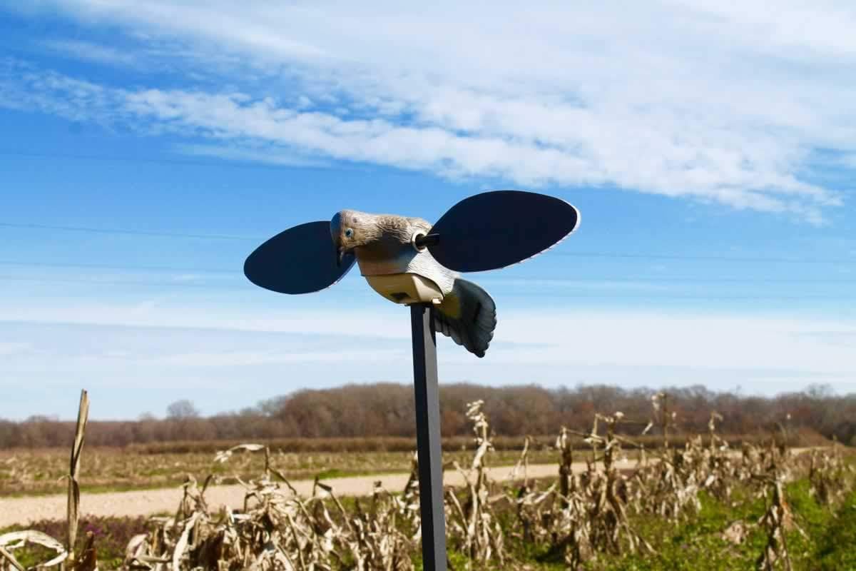 MOJO Outdoors Dove Hunting Decoys and Accessories – (Choose Style)