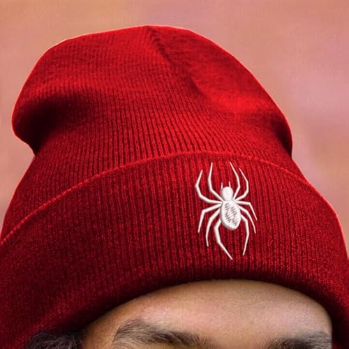 Cool Spider Web Pattern Halloween Beanie, Embroidered araneid Wool Knit Beanies Hats Gift for Men Women