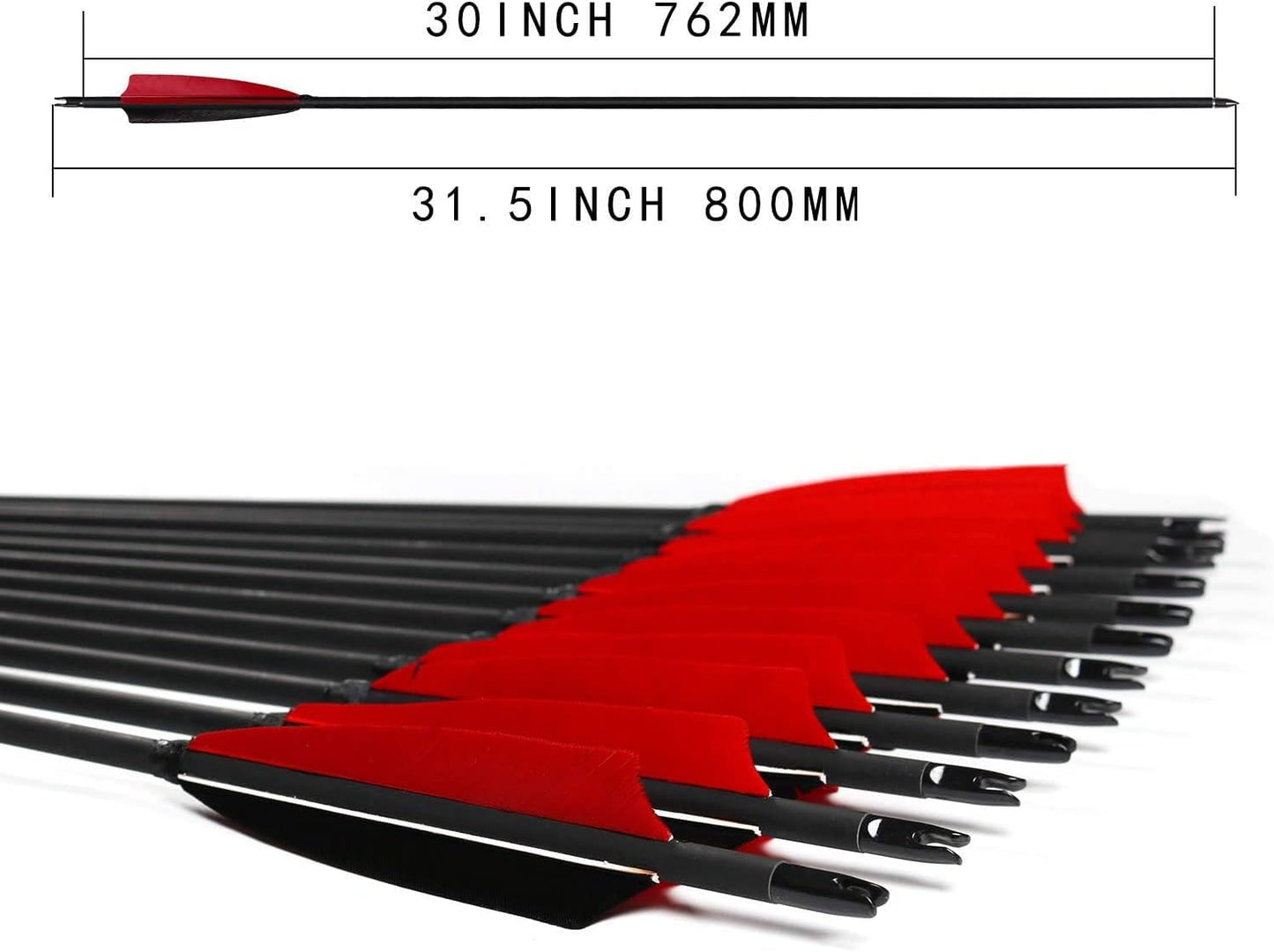 31Inch Carbon Arrows, Targeting Practice Hunting Arrow, Turkey Feather Fletching Arrow, with Removable Tips and nocks for Recurve & Compound Bow