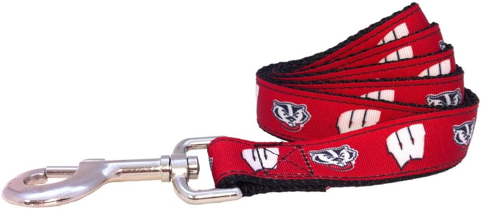 NCAA Wisconsin Badgers Collegiate Dog Leash (Large)