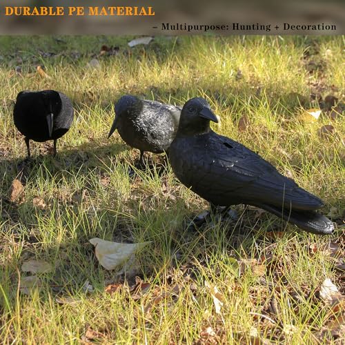 Plastic Crow Decoy with Stake for Hunting and Bird Attracting - Realistic Full Body Design