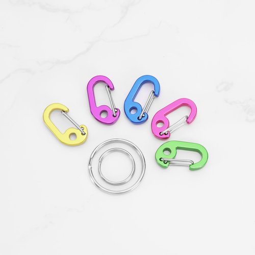 LT Easiyl 4 Sets Mini Carabiners Aluminum Alloy Keyring Clips D Ring Carabiner Spring Buckle Carabiner for Camping Fishing Hiking Traveling Sports Outdoors