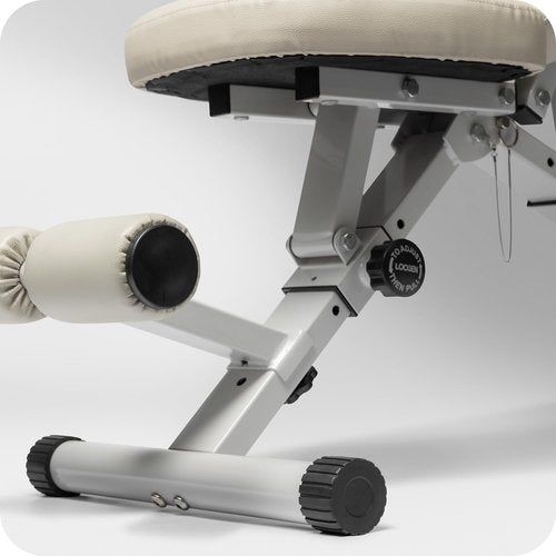 WeGym Fitness Bench, Adjustable, Collapsible, Comfortable, and Luxurious Home Gym Bench for Strength Training