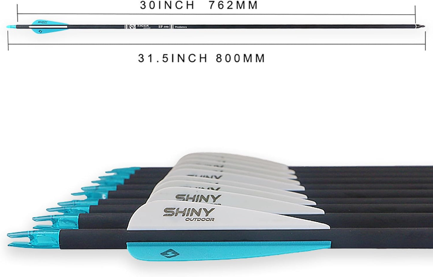 30Inch Carbon Arrow Practice Hunting Arrows with Removable Tips for Compound & Recurve Bow(Pack of 12)