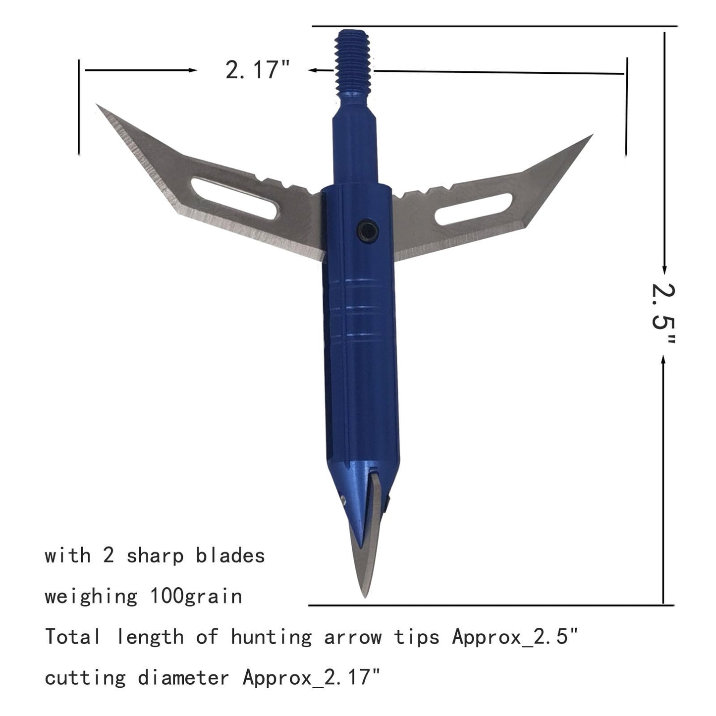 Flying Swifts Hunting Broadheads 12PK Cutting Blade Archery Broadhead 100Grain Screw-in Arrow Heads Arrow Tips Compatible with Traditional Bows and Compound Bow (Blue-1)