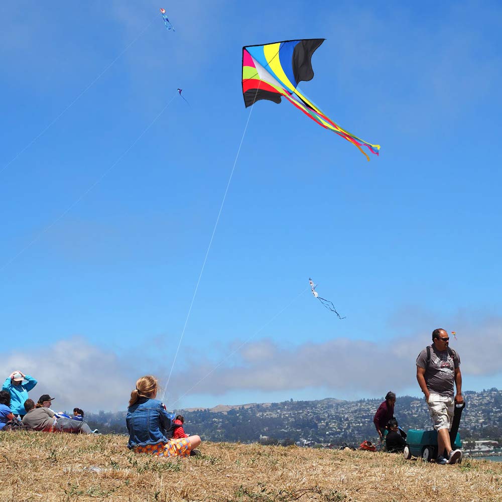 Mint's Colorful Life Rainbow Delta Kite, Polyester; Fiberglass, Large, 5-18 mph Wind Range, Ages 3-80, W/6 Ribbon Tails, Perfect for Travels