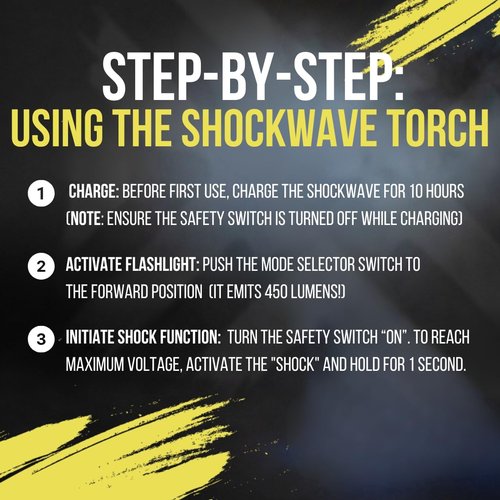 Pain Safari 2-in-1 Stun Gun Flashlight | Rechargeable Stun Gun for self Defense Men Women | Shockwave Mini Tactical Stungun | Palm-Sized | 150-Lumen, 9,000 Volts to Deter Attackers