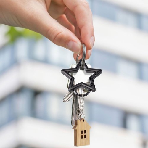 OIIKI 4 PCS Star Shaped Keychain Clip Carabiner, Zinc Alloy Star Carabiner Clip, Carabiner Keychain Clip, 2 Sizes Cute Carabiner for Keys, Wallet, Hiking, Fishing - Black, Sliver - 1.3 in, 1.61 in