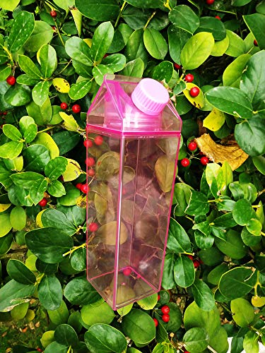 17oz Cute Leakproof Milk Carton Water Bottle - Portable Drinkware for Outdoor Activities - Pink