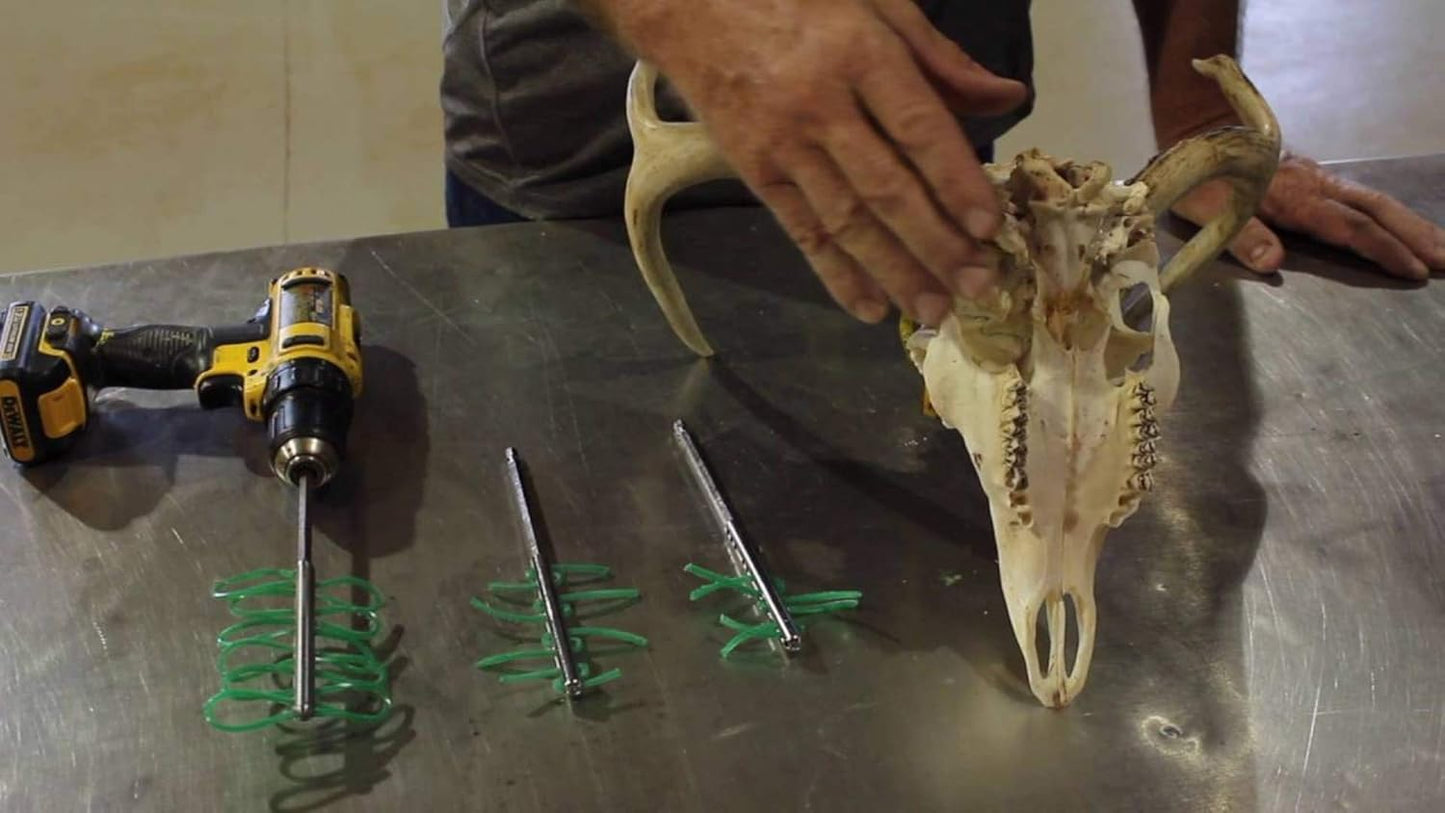 Raptorazor Scrambler Deer and Elk Skull Cleaning Tool