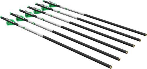 CenterPoint Archery CP400 Select 400-Grain 20-Inch Carbon Arrows, Pack of 6