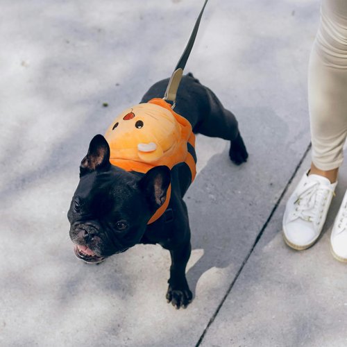 ROZKITCH Dog Backpack Harness, Soft and Adjustable Pet Saddle No Pull Bag with D-Ring for Small Medium Dogs, Cute Lion Design for Outdoor Travel, Walking, and Hiking Animal Self Carrier Bag M