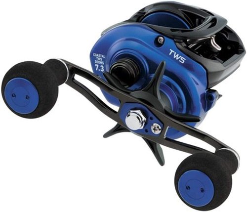 Coastal TW Casting Reel by Daiwa - High-Performance Fishing Gear for Anglers