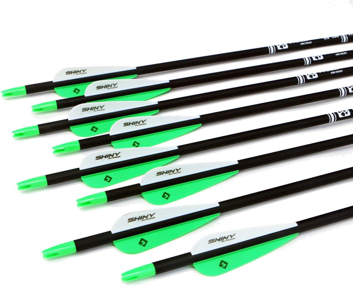 30Inch Carbon Arrow Practice Hunting Arrows with Removable Tips for Compound & Recurve Bow(Pack of 12)