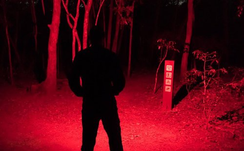 XLENTGEN Red Light LED Hunting Flashlight 300 Yard Long Range Zoomable Predator Light LED Flashlights Kit with Pressure Switch Rechargeable Batteries for Coon Coyote Hog Fox Varmint