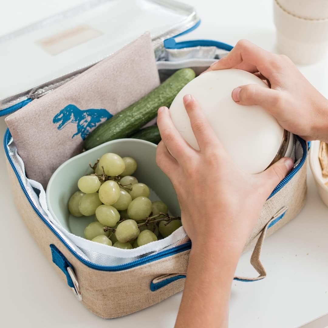 SoYoung Ice Pack - Adults - Kids - Lunch Boxes - Coolers - Backpacks - Eco-Friendly - Non-Toxic - Blue Dinosaur