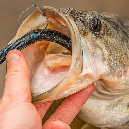 Weedless Wacky Rig Hooks Bass Fishing Hooks for Wacky Rigging Worm Lure (2/0 25-Pack)
