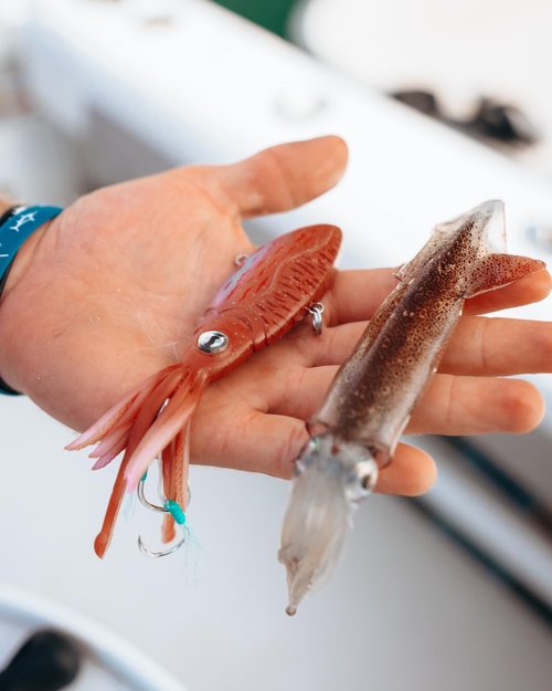 Nomad Design Squidtrex Fishing Lure with Patented Technology Vibration Design - TPE Soft Plastic, BKK Assist Hooks, Squid Lure - 150 Vibe 6" - 4 3/4oz - Brown Speckle