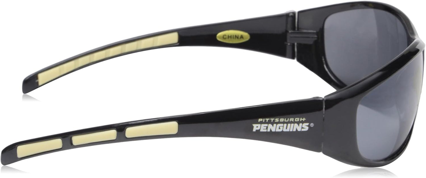 Siskiyou Wrap Sunglasses