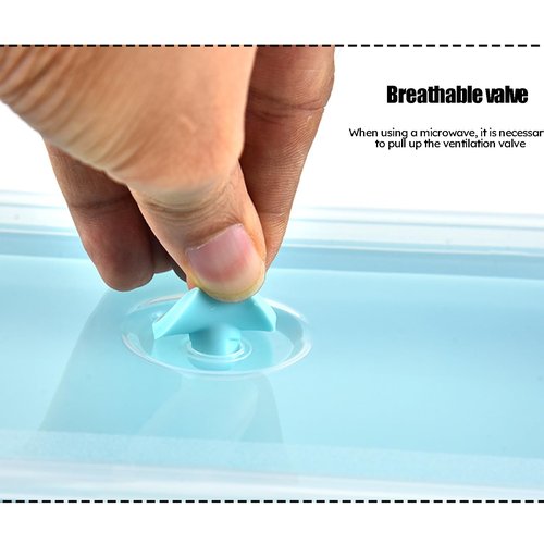 RoseFlower 3PCS Collapsible Bowl Sets, Portable Silicone Collapsible Bowls for Camping, Camping Dishes with Lids for for Microwave, Dishwasher, Freezer, Camping Bowls for Travel and Picnic(Blue)