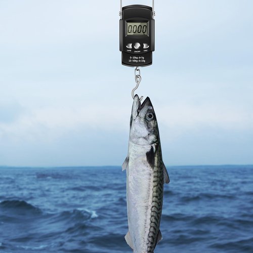 Hungdao 7 Pcs Fishing Gear and Equipment Fishing Tools Kit for Boys Father Men Christmas Fish Accessories Include Net, Hook Remover Tool, Digital Scale, Pliers, Lanyard Summer Gifts(51.2 Inches,Black)