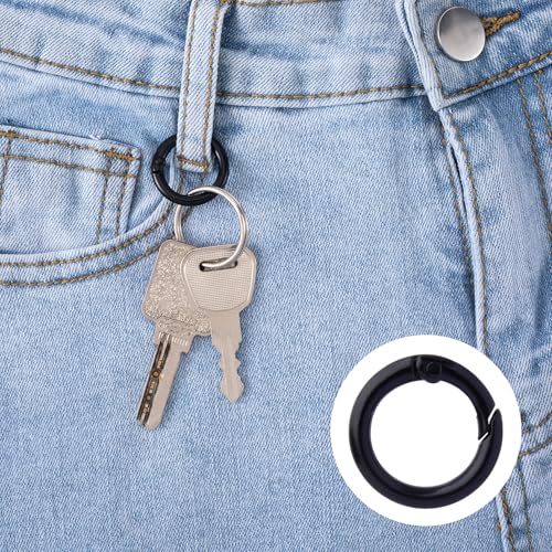 51Pcs 25mm Round Spring O Rings, Colorful Metal Carabiner Snap Buckle Clip Trigger DIY Accessories for Purse Keyrings Keychain Handbag Lanyard