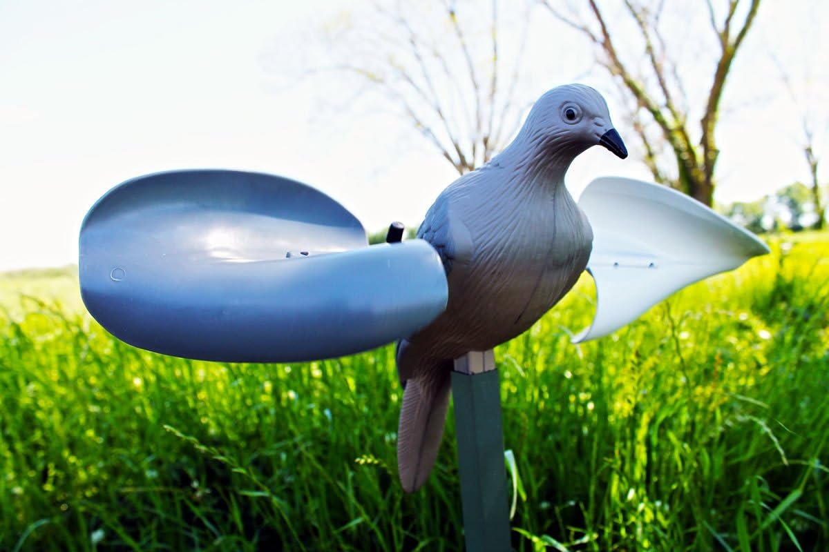 MOJO Outdoors Dove Hunting Decoys and Accessories – (Choose Style)